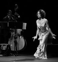 Raisin’ Cane: A Harlem Renaissance Odyssey starring Jasmine Guy and the Avery Sharpe Trio.